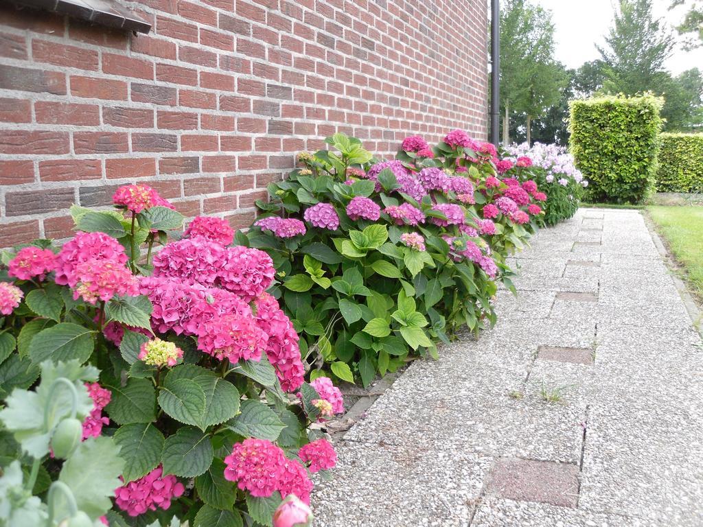 Nicolaashoeve Beemster Bed and Breakfast Noordbeemster Zewnętrze zdjęcie